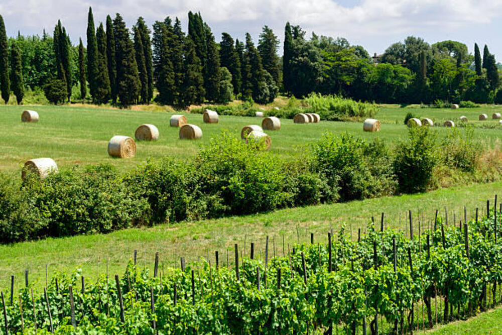 Campagna coltivata nei dintorni di Porcari