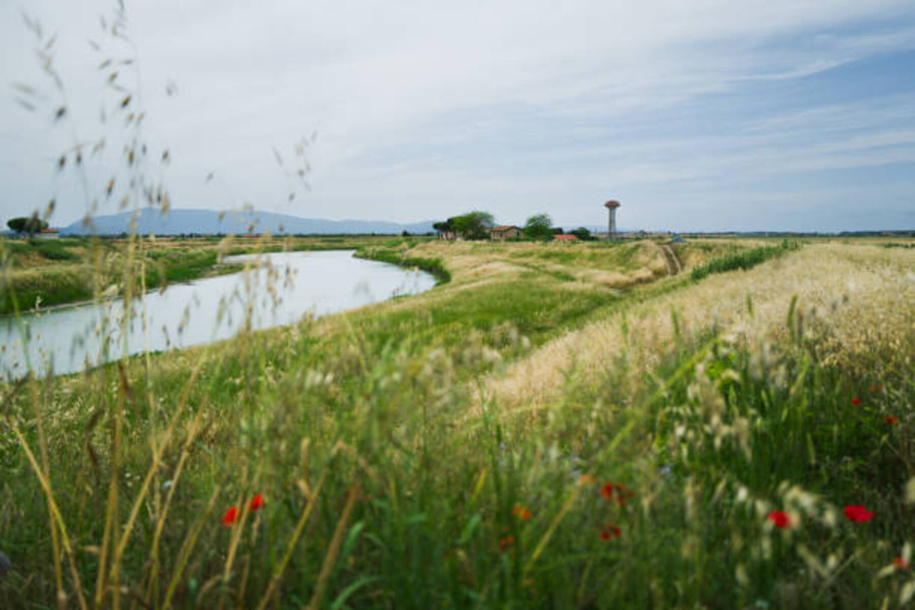 Campagna e torre idrica nella pianura toscana